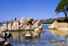 开元棋牌：[棋牌]乐弈场第46场周赛 史轶君夺得积分／实力榜冠军.